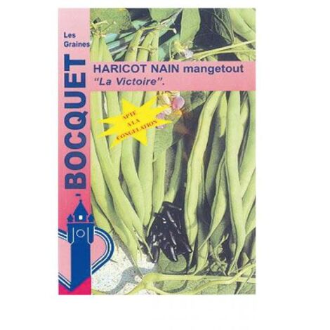 Haricot mangetout 'La Victoire' le sachet de 200 graines (100g) (1/2)