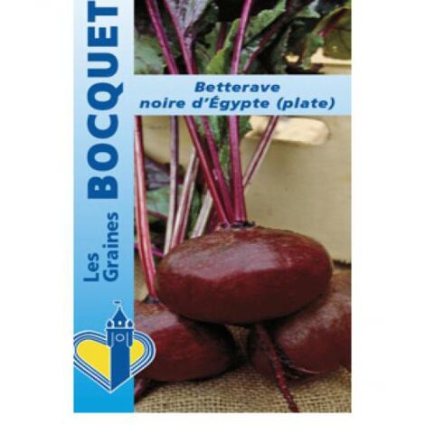 Betterave  'Noire d'Egypte' le sachet de 250 graines (6g) (1/2)