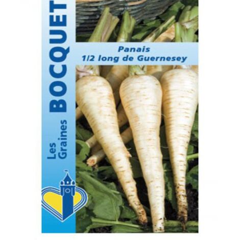 Panais 'Demi-long de Guernesey' le sachet de 800 graines (4g) (1/2)