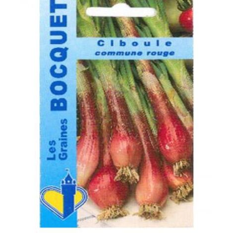 Ciboule rouge le sachet de 600 graines (1,5g) (1/2)