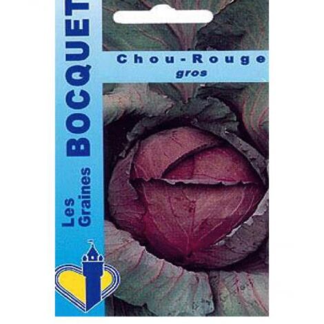 Chou 'Rouge Gros' le sachet de 500 graines (2g) (1/2)
