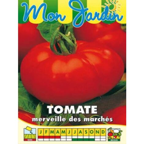 Tomate 'Merveille des Marchés' le sachet de 300 graines (1g) (1/2)