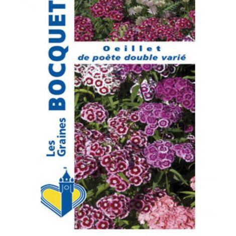 Œillet barbu double en mélange le sachet de 1550 graines (2g) (1/2)