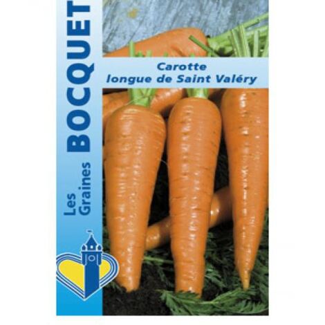 Carotte longue 'de Saint Valéry' le sachet de 3600 graines (5g) (1/2)