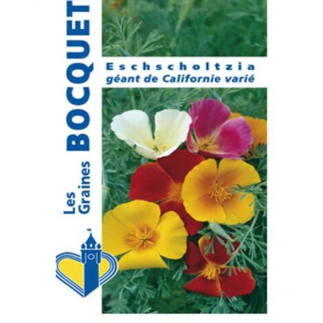 Pavot de Californie en mélange le sachet de 550 graines (1g)