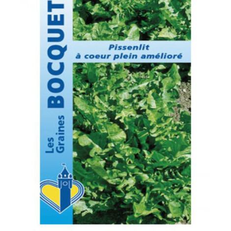 Pissenlit le sachet de 1200 graines (1g) (1/2)