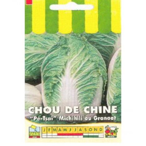Chou de Chine 'Michihili' le sachet de 1000 graines (3g) (1/2)