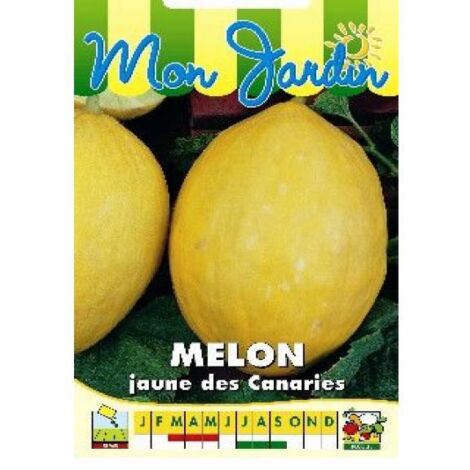 Melon 'Jaune canari' le sachet de 75 graines (3g) (1/2)