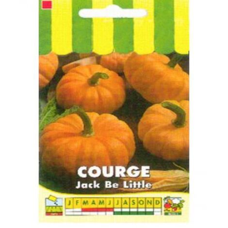Courge 'Jack Be Little' le sachet de 25 graines (2g) (1/2)