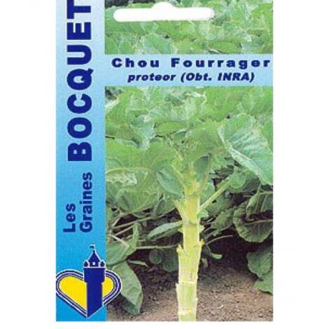 Chou 'Protéor' le sachet de 5000 graines (25g) (1/2)
