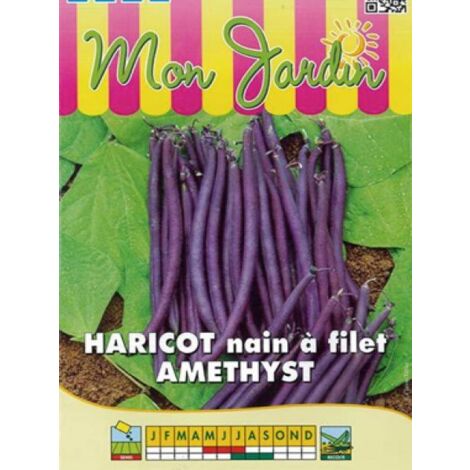 Haricot nain à filet 'Amethyst' le sachet de 225 graines (90g) (1/2)
