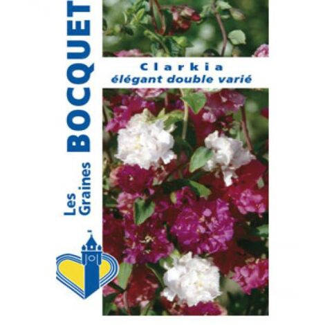 Clarkia le sachet de 3850 graines (1,5g) (1/2)