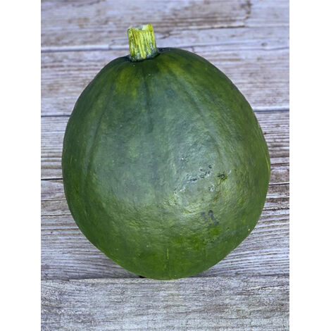 Potiron courge 'du Pérou' le sachet de 10 graines (3g) (1/2)