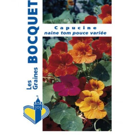 Capucine naine 'Tom Pouce' le sachet de 35 graines (5g)