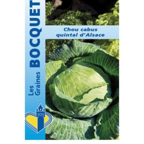 Chou cabus 'Quintal d'Alsace' le sachet de 600 graines (3g) (1/2)