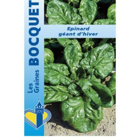 Epinard 'Géant d'hiver' le sachet de 1000 graines (15g) (1/2)