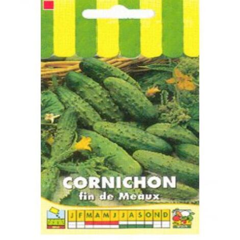 Cornichon 'Fin de Meaux' le sachet de 90 graines (3g) (1/2)
