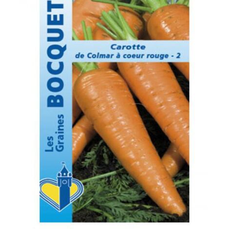 Carotte 'de Colmar à coeur rouge' le sachet de 3600 graines (5g) (1/2)