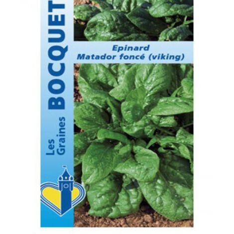 Epinard 'Matador' le sachet de 500 graines (8g) (1/2)