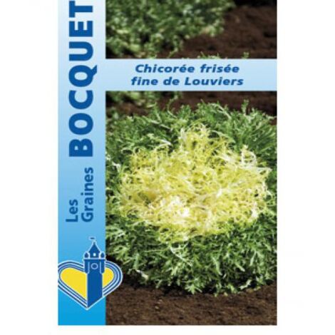 Chicorée frisée Fine De Louviers' le sachet de 2500 graines (4g)