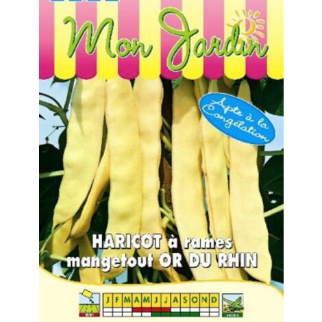 Haricot à rames beurre 'Or du Rhin' le sachet de 200 graines (100g) (1/2)