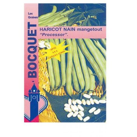 Haricot mangetout 'Processor' le sachet de 250 graines (100g) (1/2)