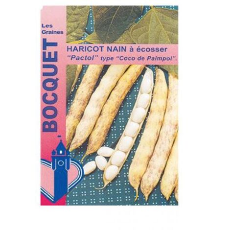 Haricot 'Pactol' le sachet de 115 graines (90g) (1/2)