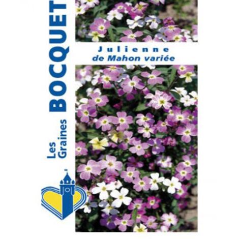 Julienne de Mahon le sachet de 1700 graines (1g) (1/2)