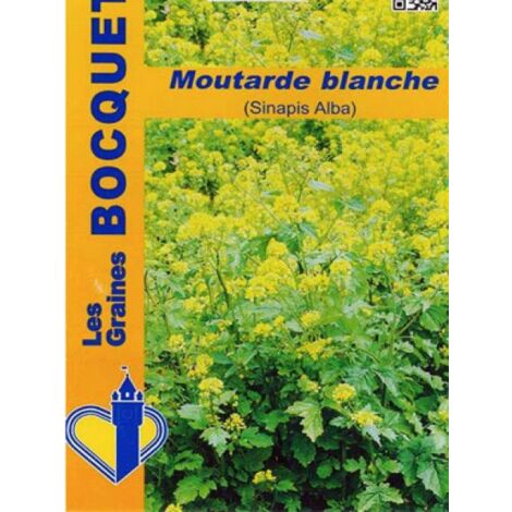 Moutarde blanche - Engrais vert pour 250 m²