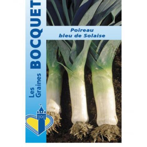 Poireau 'Bleu de Solaise' le sachet de 1000 graines (4g) (1/2)