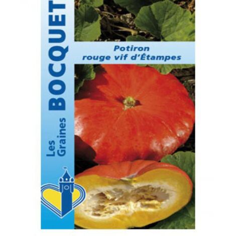Potiron 'Rouge vif d'Etampes' le sachet de 20 graines (7g) (1/2)