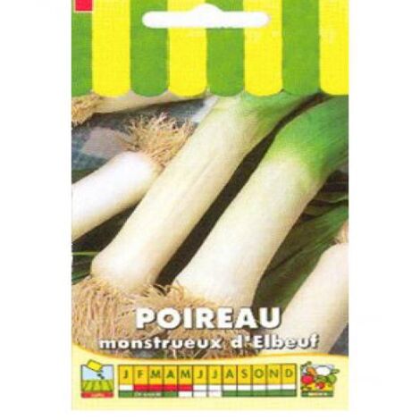Poireau 'Monstrueux d'Elbeuf' le sachet de 1000 graines (4g) (1/2)