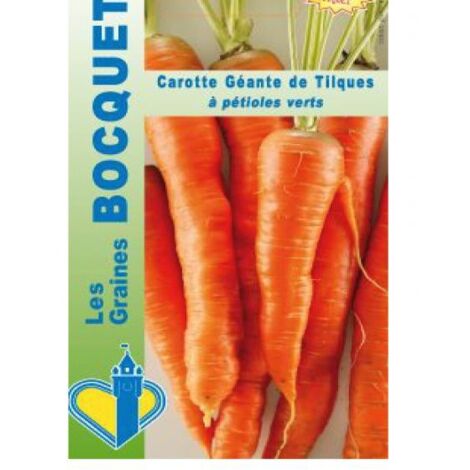 Carotte 'Géante de Tilques' le sachet de 500 graines (1g) (1/2)