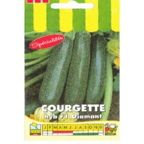 Courgette 'Diamant HYB F1' le sachet de 20 graines (2g) (1/2)
