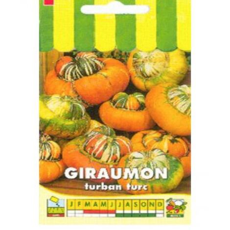Potiron 'Giraumon Turban Turc' le sachet de 10 graines (3g) (1/2)
