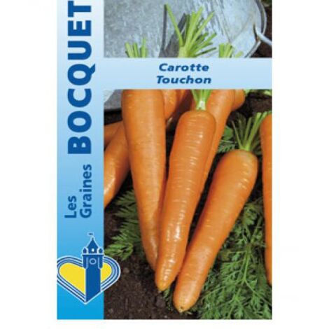 Carotte 'Touchon' le sachet de 3600 graines (5g) (1/2)