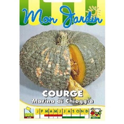 Potiron 'Marina di Chioggia' le sachet de 8 10 graines (3g) (1/2)