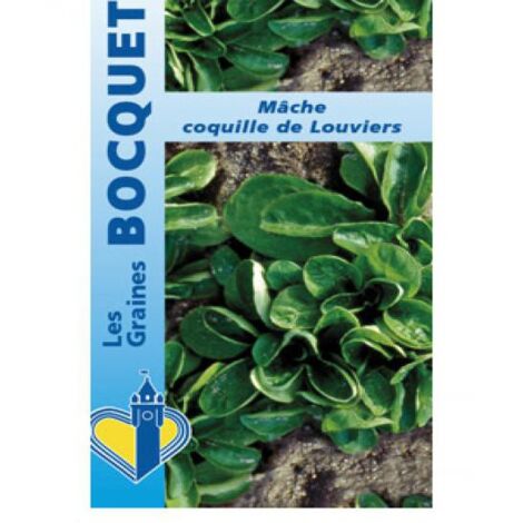 Mâche 'Coquille de Louviers' le sachet de 3000 graines (4g) (1/2)