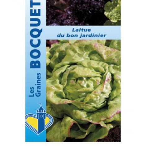 Laitue d'été 'Du Bon Jardinier' le sachet de 2500 graines (3g) (1/2)