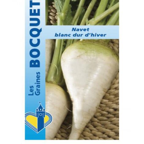 Navet 'Blanc dur d'hiver' le sachet de 2000 graines (5g) (1/2)
