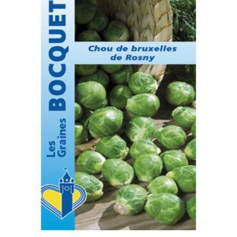 Chou de Bruxelles 'Rosny' le sachet de 800 graines (3g) (1/2)