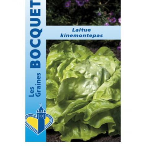 Laitue 'Kinemontepas' le sachet de 2500 graines (3g) (1/2)