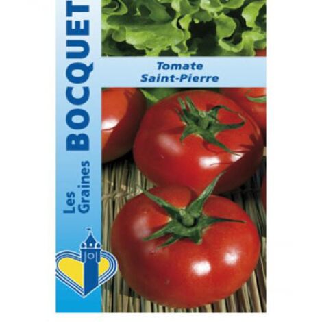 Tomate 'Saint Pierre' le sachet de 700 graines (2g) (1/2)