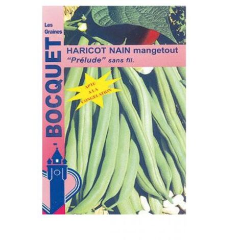 Haricot mangetout 'Prélude' le sachet de 250 graines (100g) (1/2)