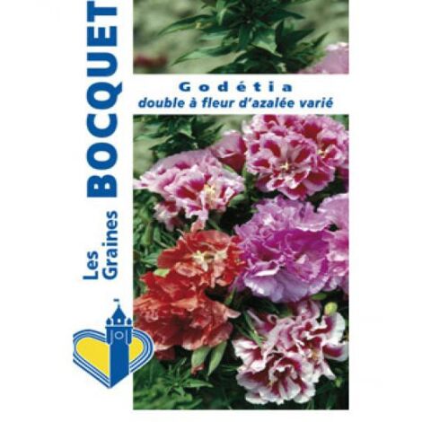 Godétia double à fleur d'Azalée en mélange le sachet de 1700 graines (1g) (1/2)