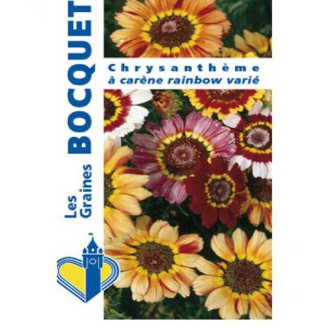 Chrysanthème 'Rainbow' en mélange le sachet de 300 graines (1g) (1/2)