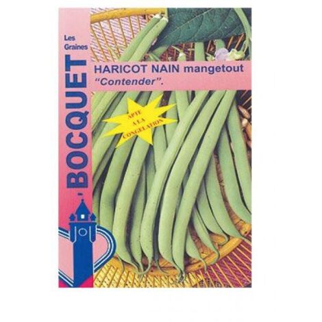 Haricot vert 'Contender' le sachet de 150 graines (100g) (1/2)