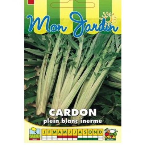 Cardon 'Plein Blanc inerme' le sachet de 120 graines (5g) (1/2)