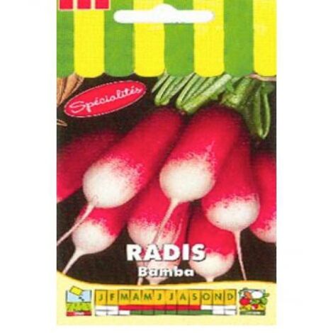 Radis 'Bamba' le sachet de 500 graines (5g) (1/2)