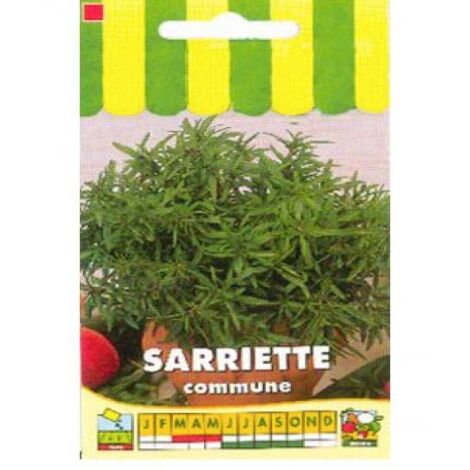 Sarriette commune le sachet de 1200 graines (1g) (1/2)